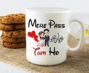 Mere pas Tum ho Mug